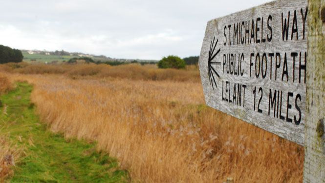 Marazion-marsh