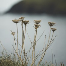 Wandern in Cornwall – Mousehole