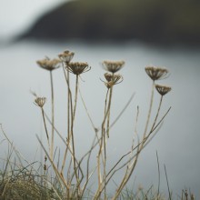 mousehole walks