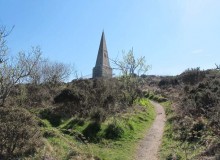 Ein Spaziergang durch Steeple Woods