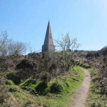 Ein Spaziergang durch Steeple Woods