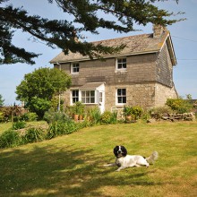 Ferienhäuser in Cornwall für Sie und Ihren Hund