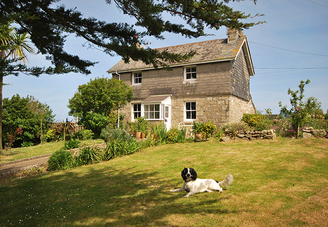 Dog-cottages