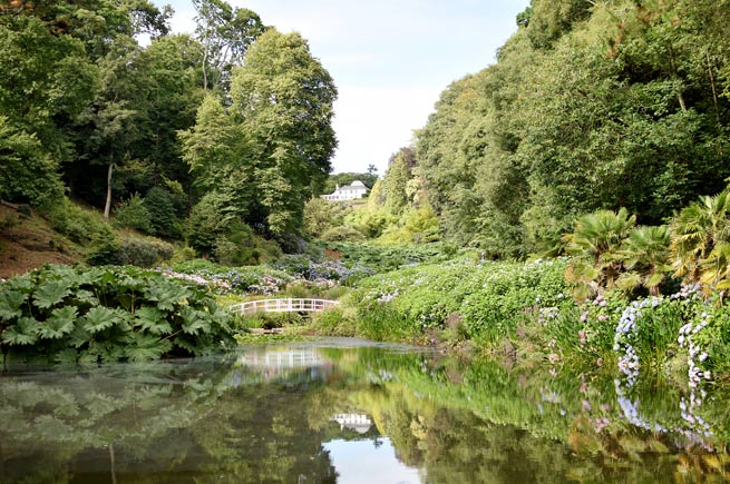 Trebah Gardens