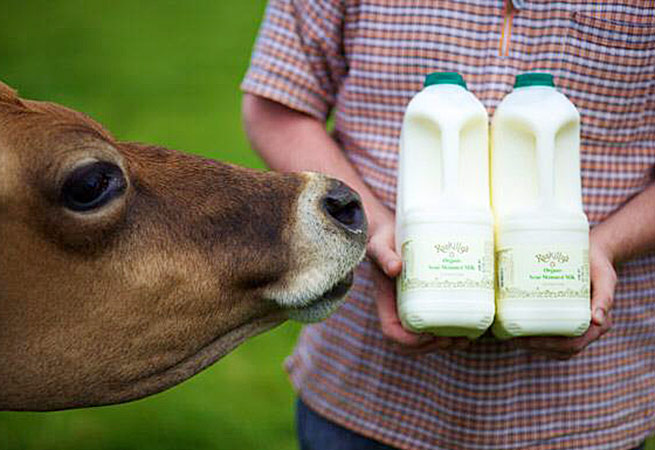 Roskillys Cornish milk