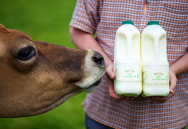 Roskillys Cornish milk