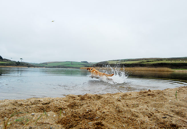 Loe-bar-pool