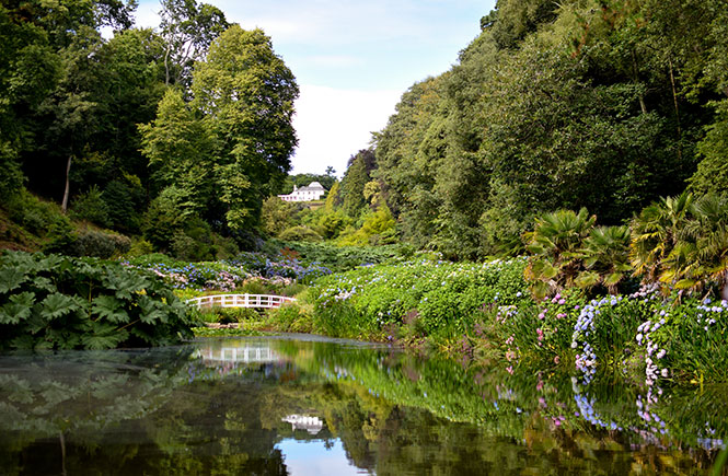 Trebah-gardens