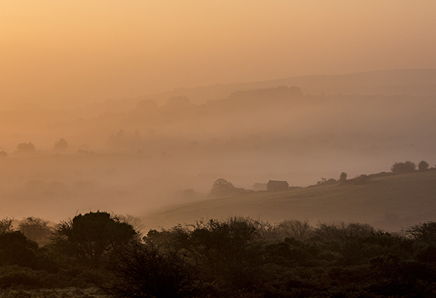 Bodmin Moor