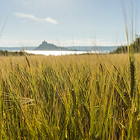 thumb-stmichaelsmount