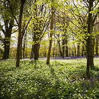 Familienausflug zu den Lost Gardens of Heligan