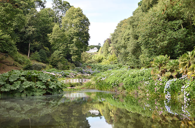 Urlaub Cornwall, Tropische Gärten 